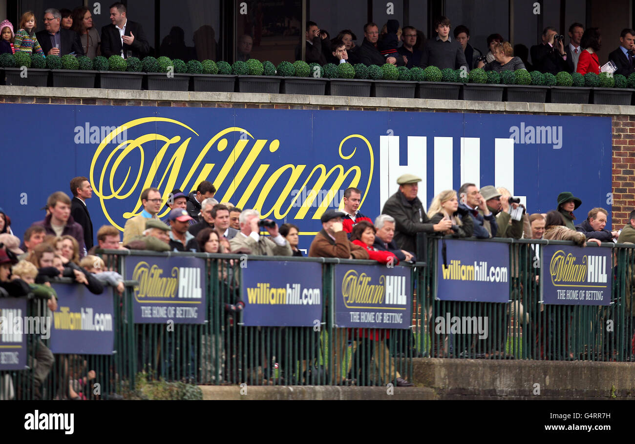 Pferderennen Sie-William Hill Winter Festival 2011 - König George VI Steeple Chase - Kempton Park Stockfoto