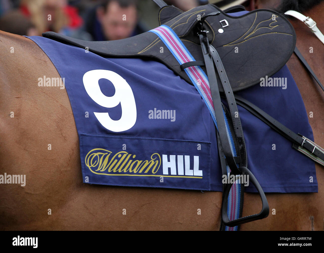 Pferderennen Sie-William Hill Winter Festival 2011 - König George VI Steeple Chase - Kempton Park Stockfoto