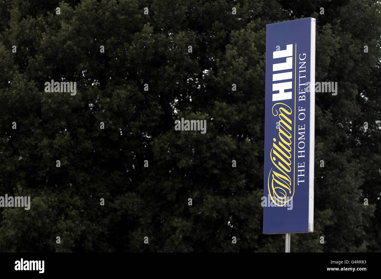 Pferderennen Sie-William Hill Winter Festival 2011 - König George VI Steeple Chase - Kempton Park Stockfoto