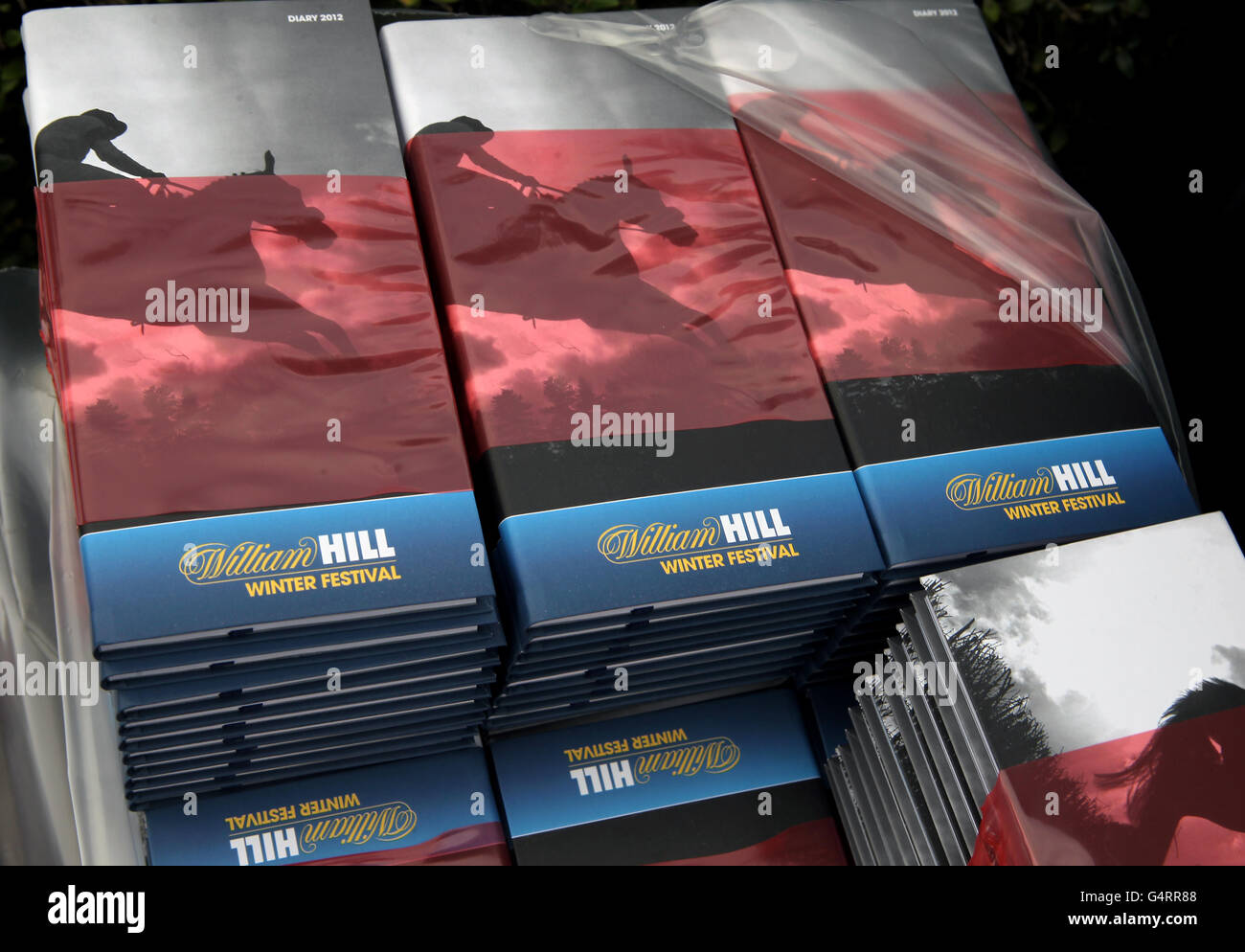 Pferderennen Sie-William Hill Winter Festival 2011 - König George VI Steeple Chase - Kempton Park Stockfoto