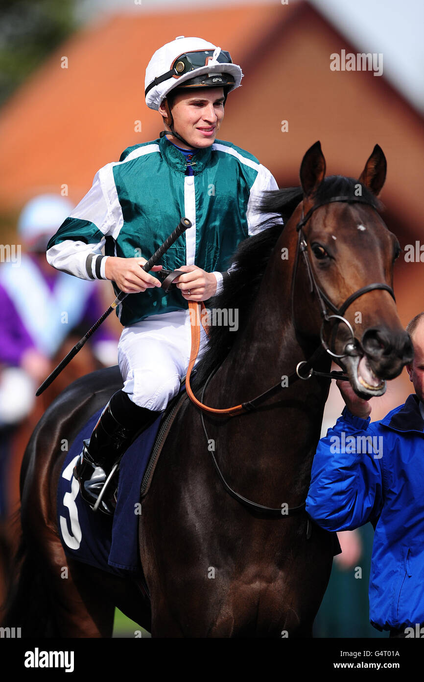 Horse Racing - die Cambridgeshire Meeting 2011 - Donnerstag - Newmarket Racecourse Stockfoto