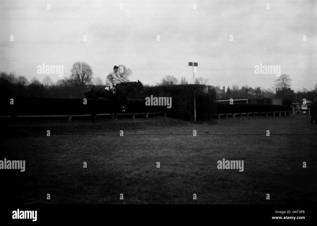 Double Star macht einen Sprung mit Jockey A. Freeman, im Besitz der Queen Mother, während einer Trainingseinheit in Tonbridge in Kent. Stockfoto