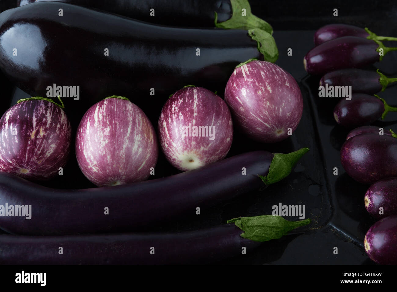 Auberginen Sorten angeordnet auf Backblech Tablett closeup Stockfoto