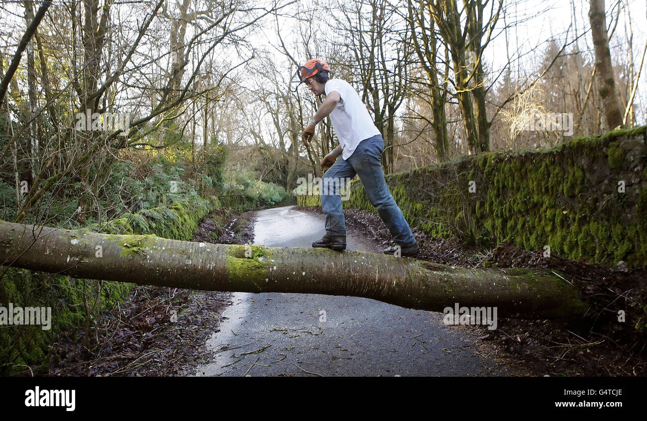 Ein Mann räumt einen umgestürzten Baum in Auchenbowie, Schottland, während die Region kämpfte, um Schäden zu reparieren, die durch die Stürme am Dienstag verursacht wurden. Stockfoto