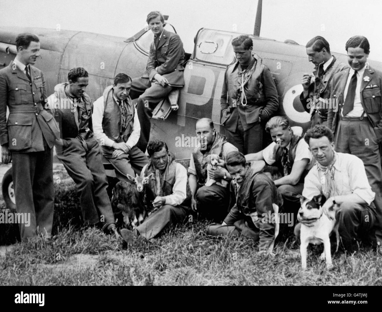 RAF-Piloten der an die BEF angeschlossenen Advanced Air Schlagkraft, die den Luftkrieg um das besetzte Frankreich kämpfen, entspannen sich mit ihren Maskottchen neben einem Spitfire-Flugzeug. Stockfoto