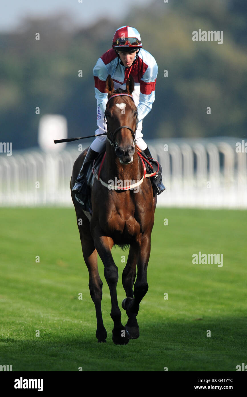 Pferderennen - Herbsttreffen und Bierfest - Tag zwei - Ascot Racecourse. Ted Spread, geritten von Jockey George Baker, geht in die Grosvenor Casinos Cumberland Lodge Stakes Stockfoto