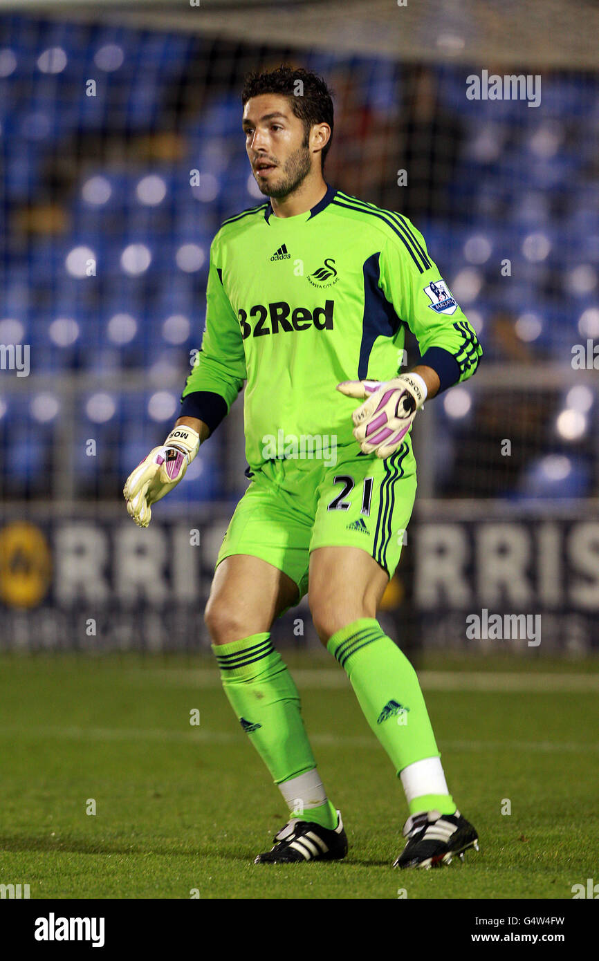 Fußball - Carling Cup - zweite Runde - Shrewsbury Town / Swansea City - Greenhous Meadow. Jose Filipe da Silva Moreira, Torhüter von Swansea City Stockfoto