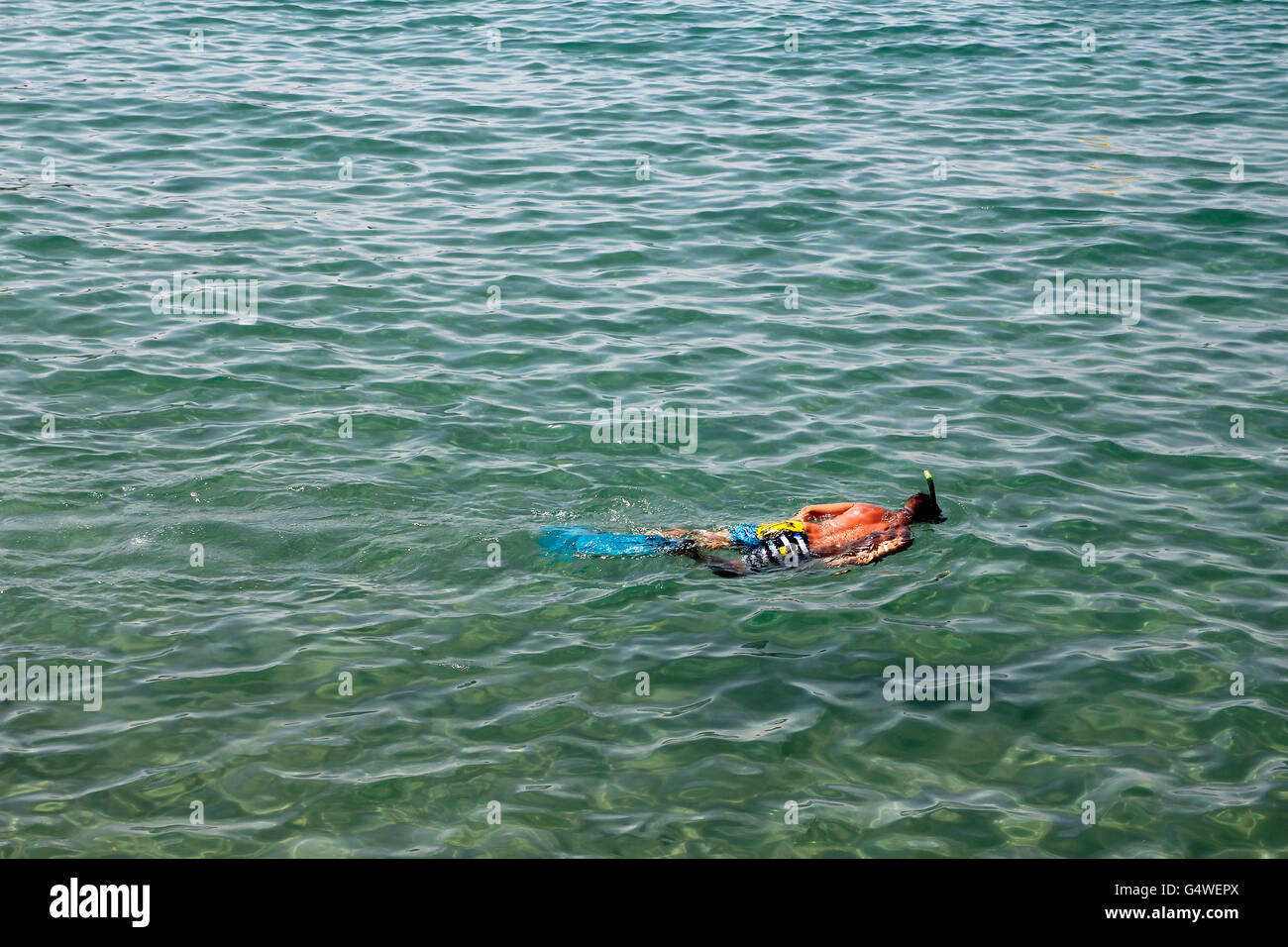 Einziger Mann Schnorcheln in kristallklarem Wasser Stockfoto