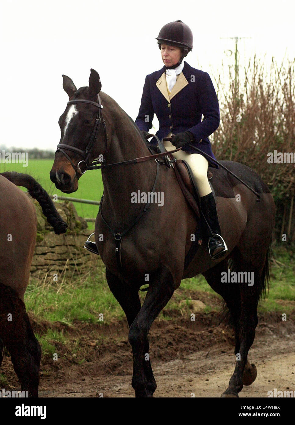 Prinzessin Anne Jagd Beaufort Stockfoto