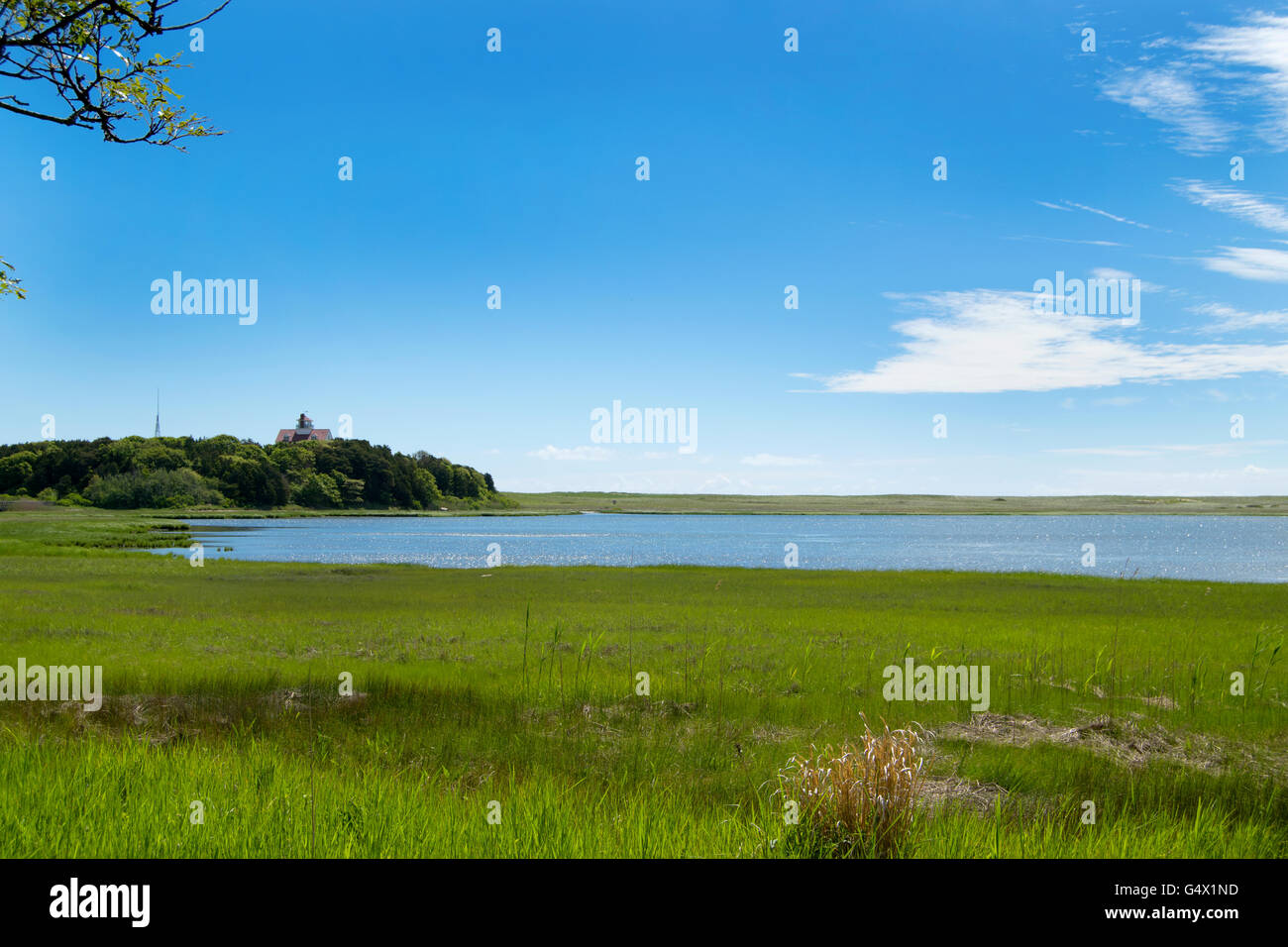 Teich, Cape Cod, Massachusetts an einem sonnigen Tag Salz Stockfoto