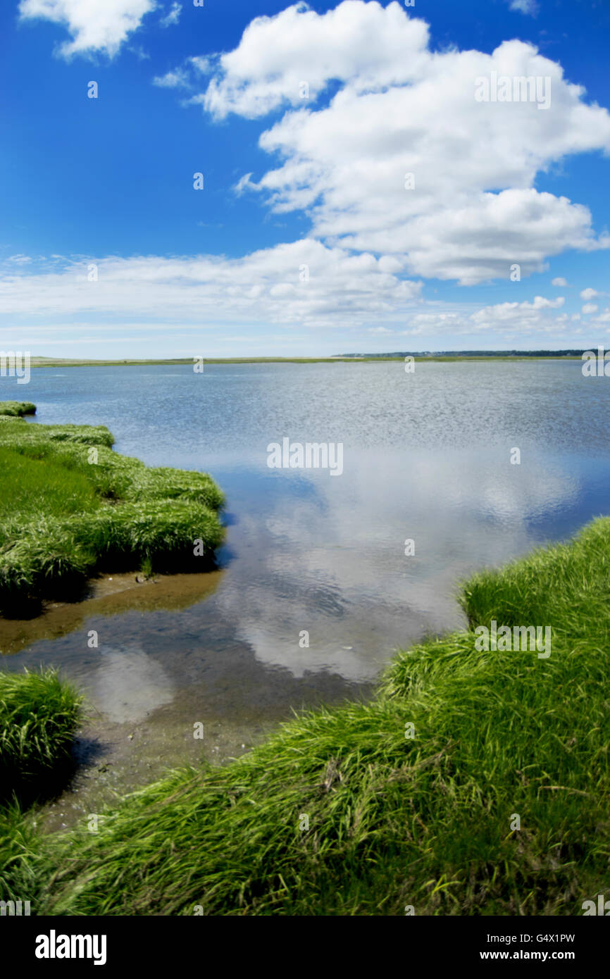 Teich, Cape Cod, Massachusetts an einem sonnigen Tag Salz Stockfoto