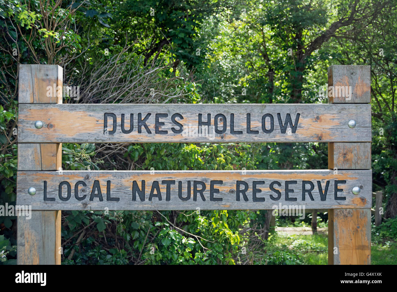 Holzschild für Herzöge hohl lokalen Naturschutzgebiet, Chiswick, London, england Stockfoto