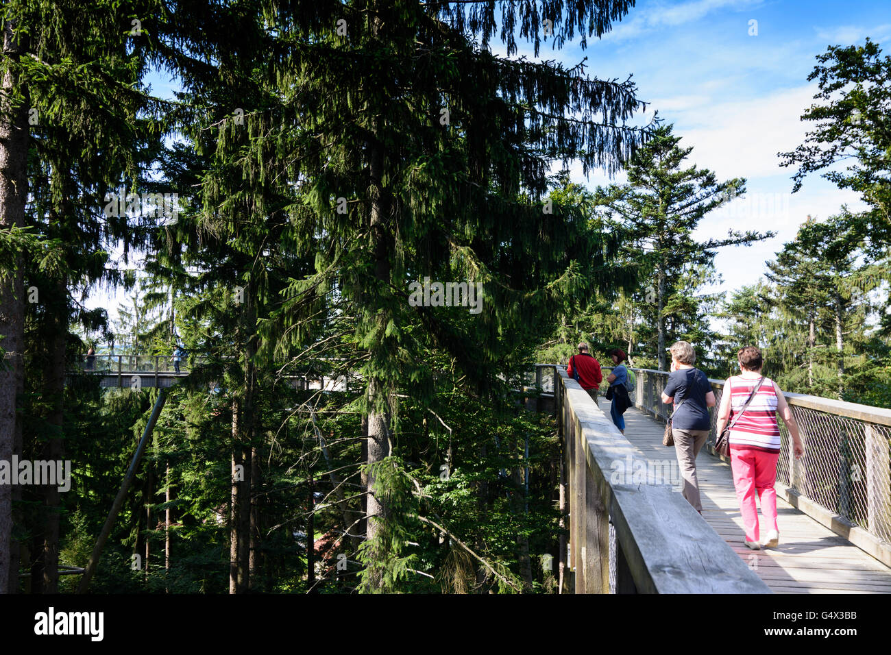 Baldachin Weg im Nationalpark Information Zentrum Lusen, Nationalpark Bayerischer Wald, Nationalpark Bayerischer Wald, Deutschland, Stockfoto