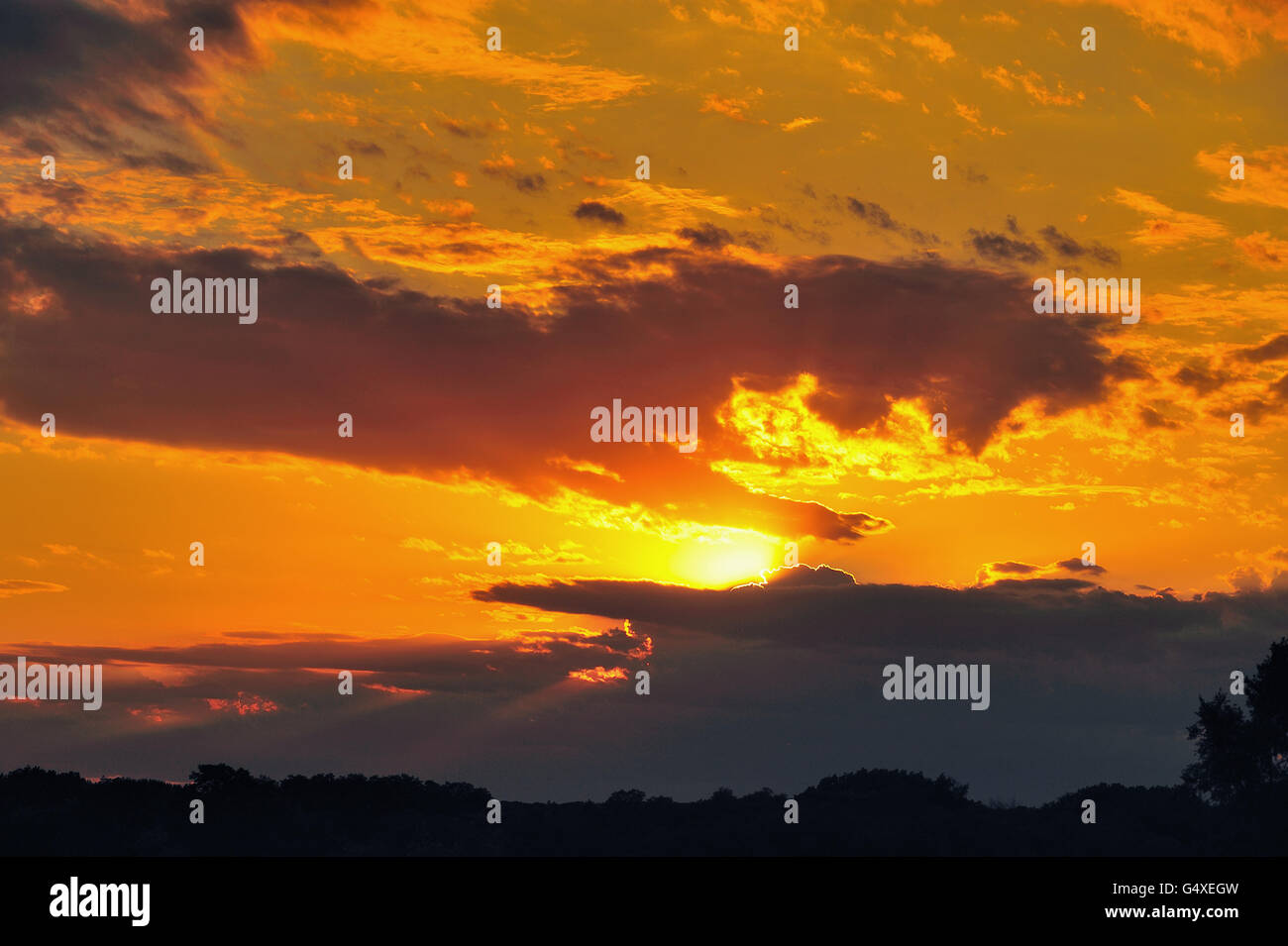 Die Sonne rutscht hinter Wolken über dem DuPage County West Branch Wald erhalten. Illinois, USA. Stockfoto