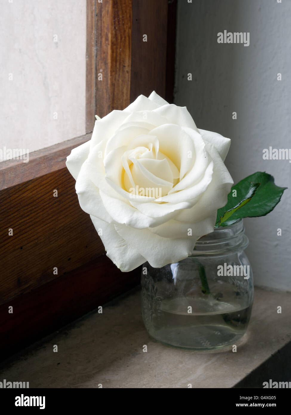 Rustikale Rose am Fensterbrett. Stockfoto