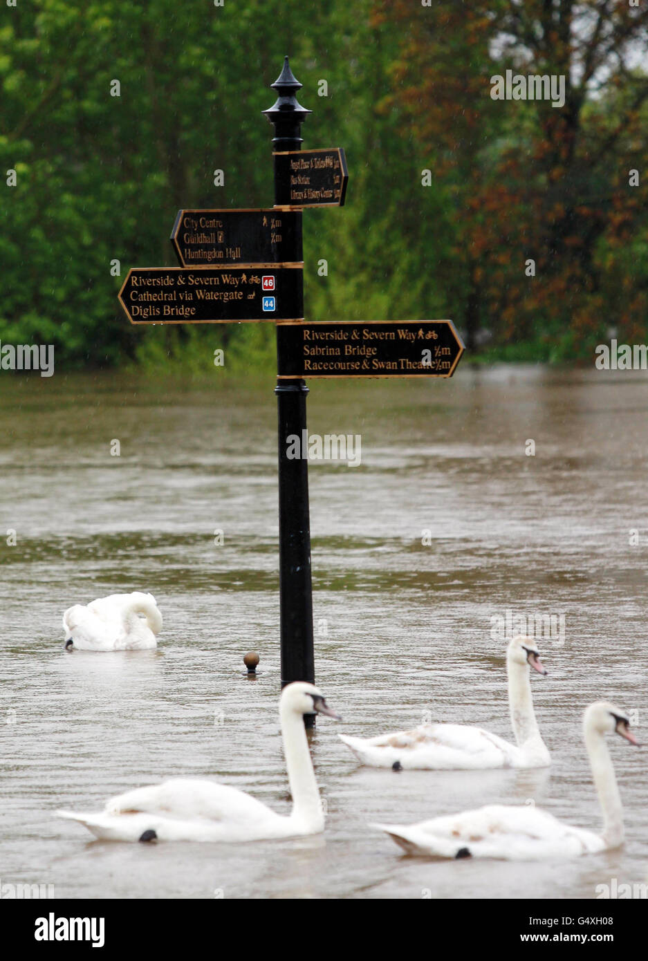 Schwäne schwimmen in Worcester an Wegweisern für Spaziergänge am Flussufer entlang des Flusses Severn vorbei, da Teile von England und Wales mit neuen Hochwasserängsten konfrontiert sind, nachdem nach dem nassesten April seit Beginn der Aufzeichnungen über Nacht starker Regen Südbritanien überschwemmt hatte. Stockfoto