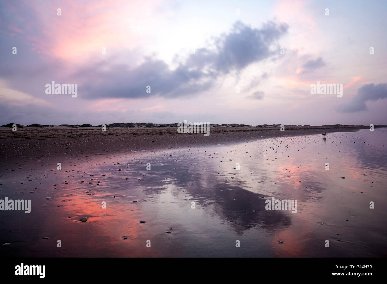 Reflexionen am Strand bei Sonnenuntergang - South Padre Island, Texas, USA Stockfoto
