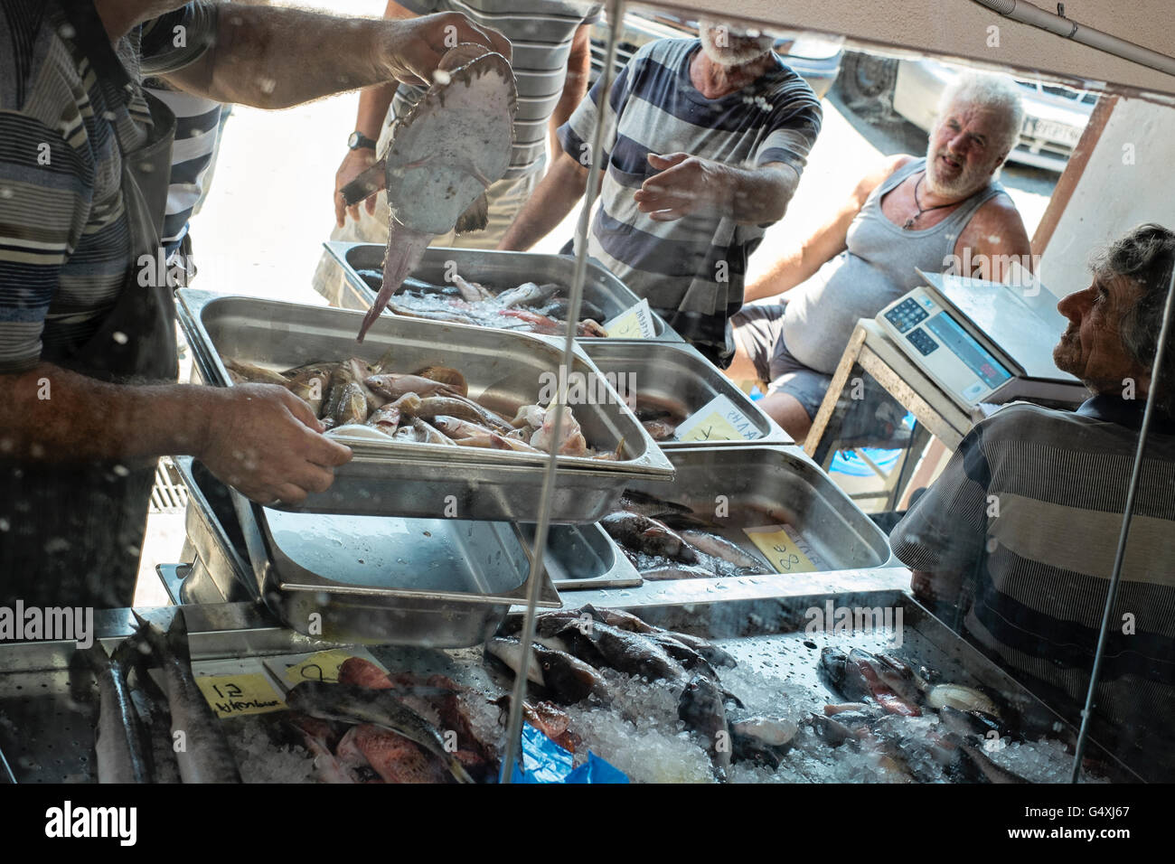Fischer zu diskutieren und prüfen von fangfrischem Fisch in Heraklion auf Kreta in Griechenland Stockfoto