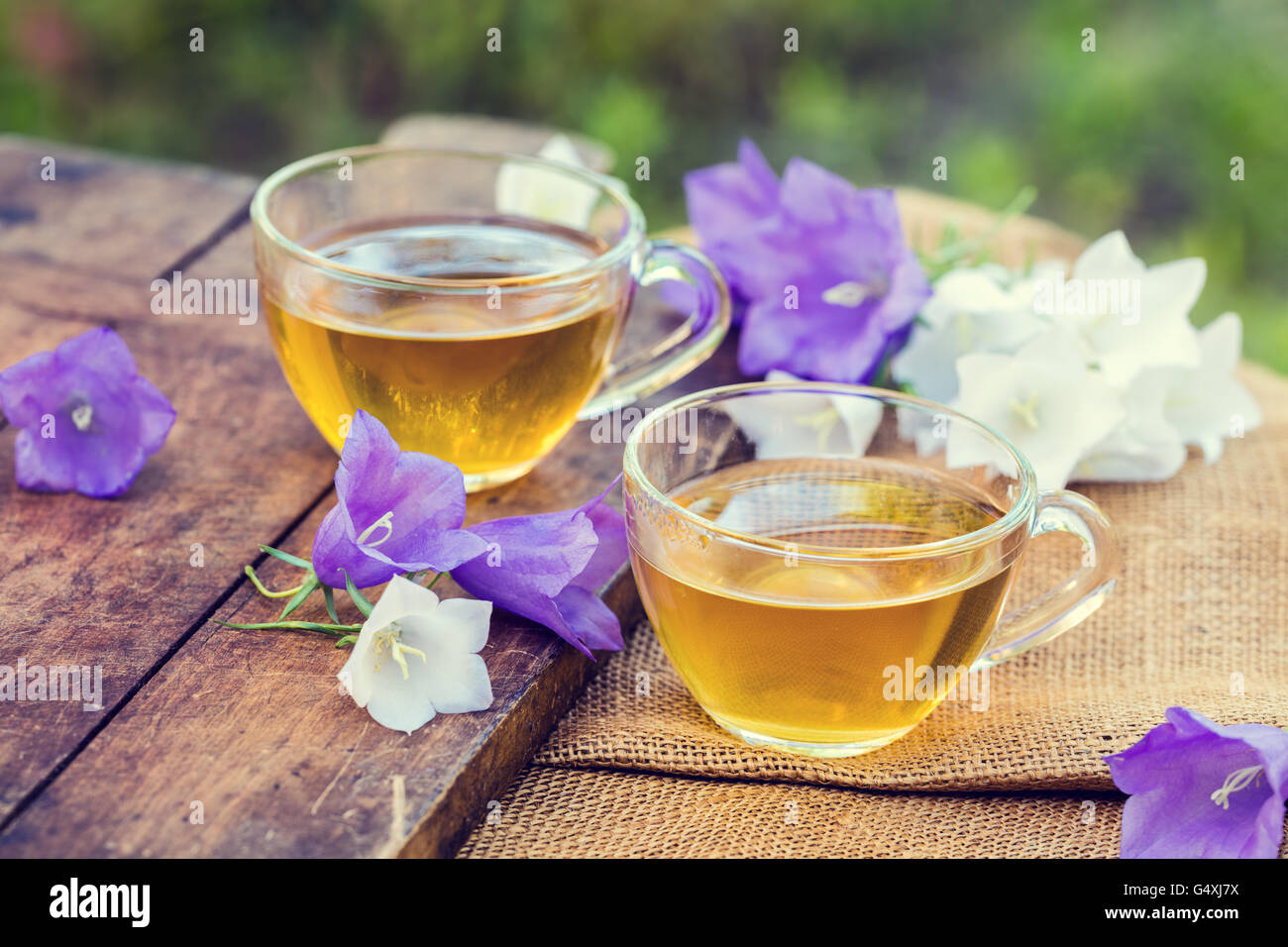 Zwei Tassen Kräuter Tee im Garten Stockfoto