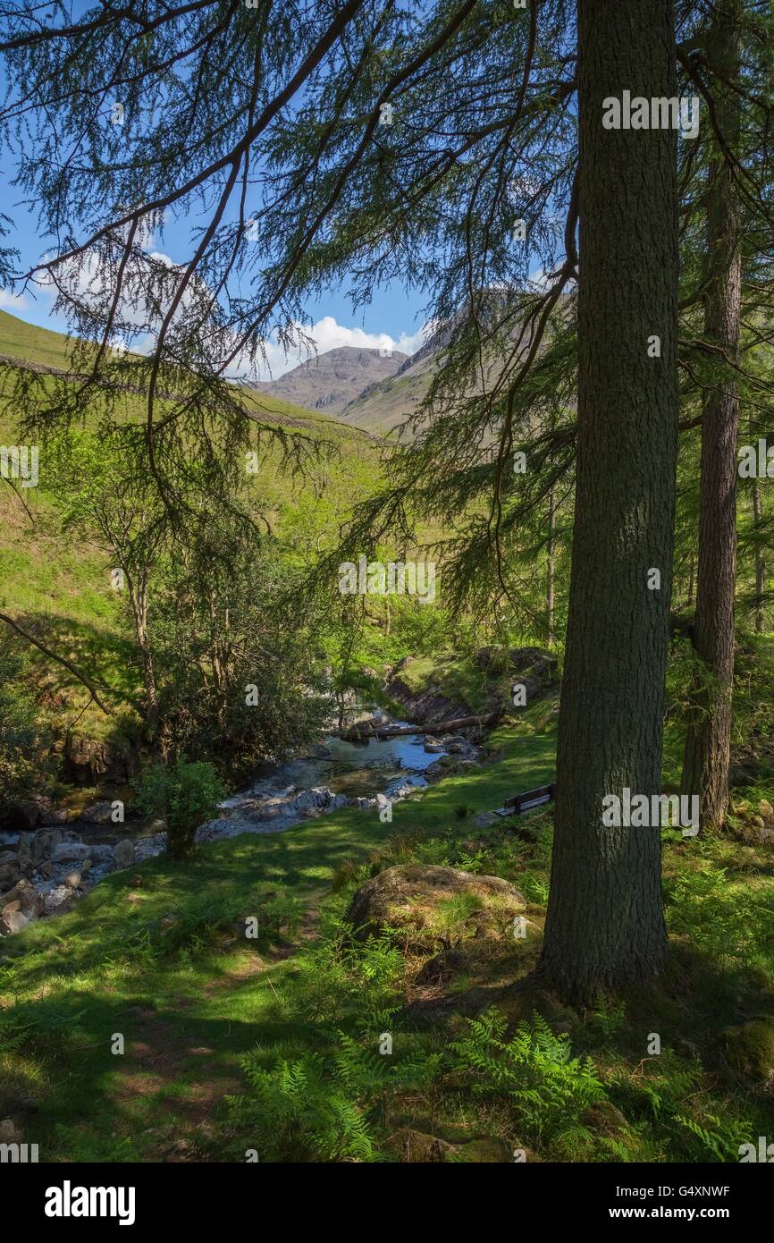 Ritson die Kraft, Wasdale Head, Lake District, Cumbria, England Stockfoto