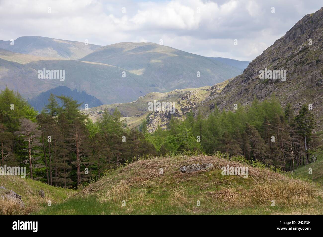 Blick in Richtung Lakelandpoeten, Lake District, Cumbria, England Stockfoto