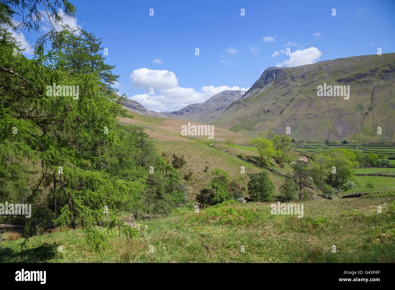 Wasdale Head, die Seenplatte, Cumbria, England Stockfoto