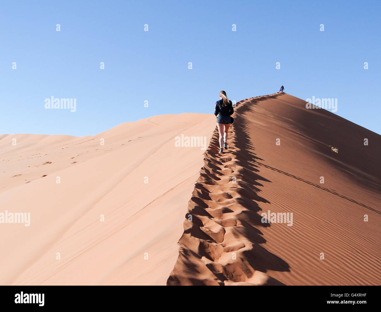 Namibia, Hardap, Sossusvlei, Namib-Naukluft-Park, oben auf der Düne Big Daddy Stockfoto