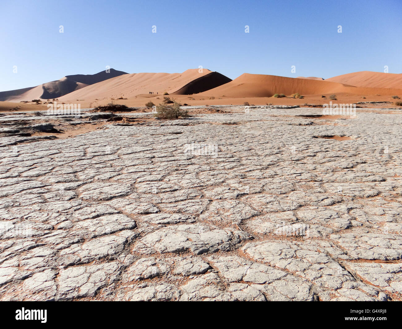 Namibia, Hardap, Sossusvlei, Namib-Naukluft-Park, Wandern Sie durch den Sand im Deadvlei Stockfoto