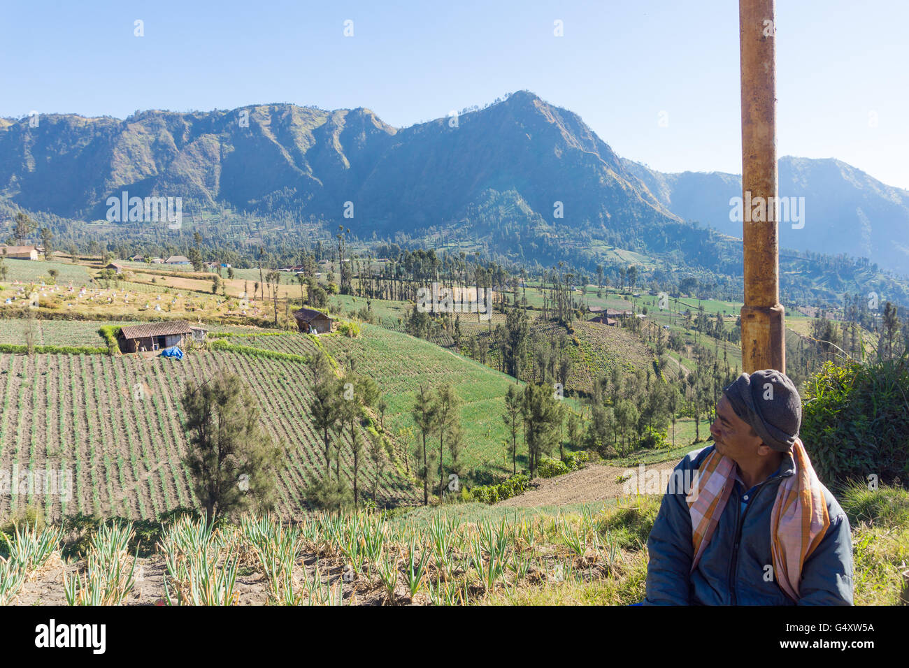 Indonesien, Java, Probolinggo, einheimischen Blick auf Felder in der vulkanischen Landschaft bei Sonnenschein Stockfoto