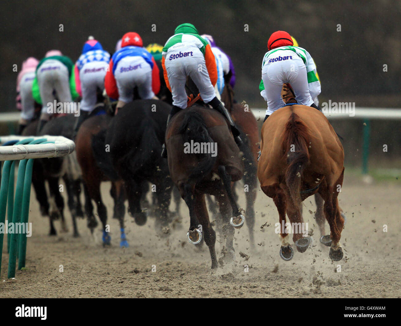Pferde gehen um die erste Kurve in der Wette an Blue Square Auf Ihrem Mobilen Handicap Stakes Stockfoto