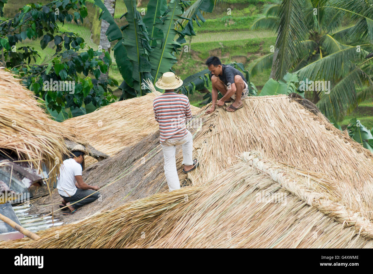Indonesien, Bali, Gianyar, Tegallalang, einheimischen Gebäude ein Strohdach Stockfoto
