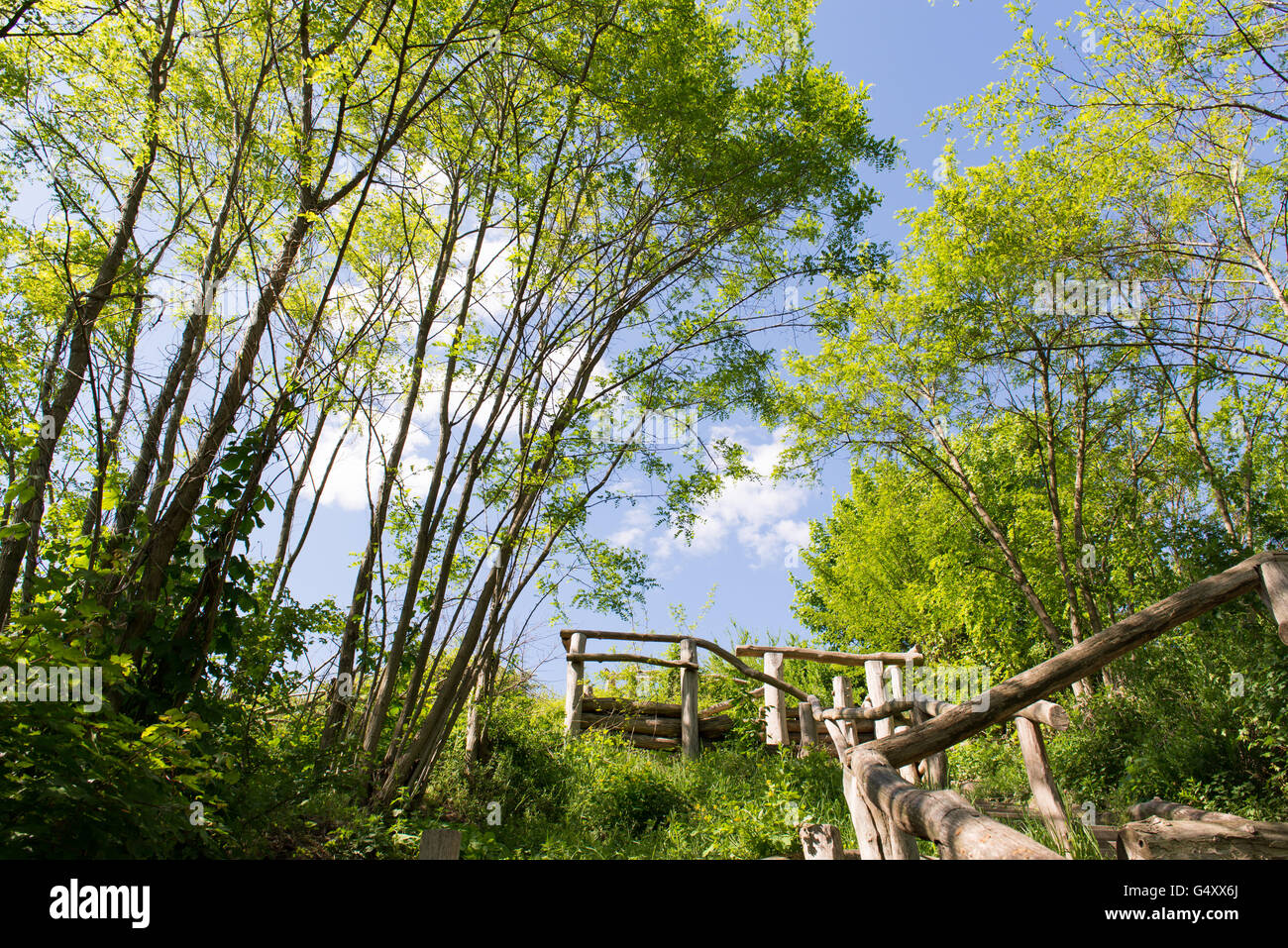 Deutschland, Berlin, Charlottenburg-Wilmersdorf, hölzerne Treppe zum Himmel auf dem Teufelsberg Stockfoto