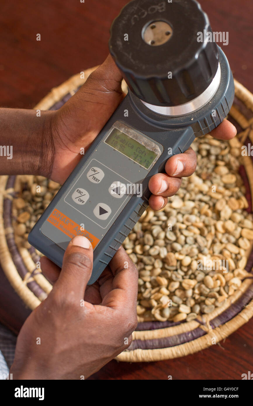 Eine Kaffee-Probe wird in ein Feuchtigkeitsmessgerät Inhalte in einem Kaffeeproduzent Lager in Kasese, Uganda gemessen. Stockfoto