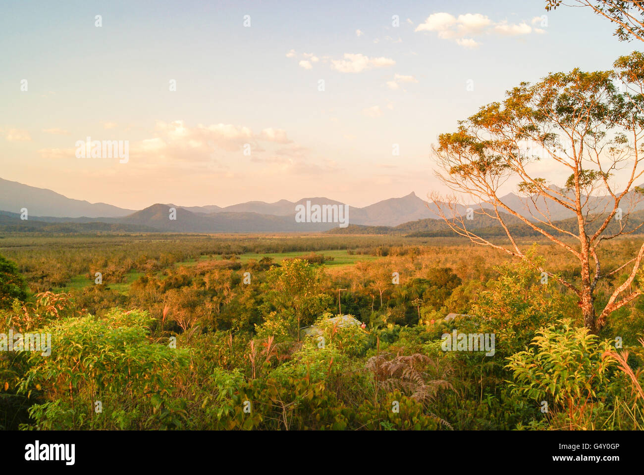 Brasilien, Parque Nacional de Saint-Hilaire / Lange, Nature reserve, schöne Aussicht von der Parque Nacional de Saint-Hilaire / lange, Serra do Mar Stockfoto