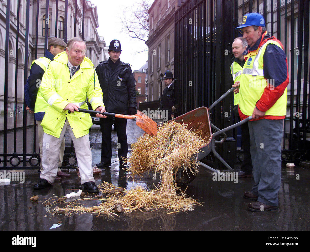 Schweinegülle Downing Street Stockfoto