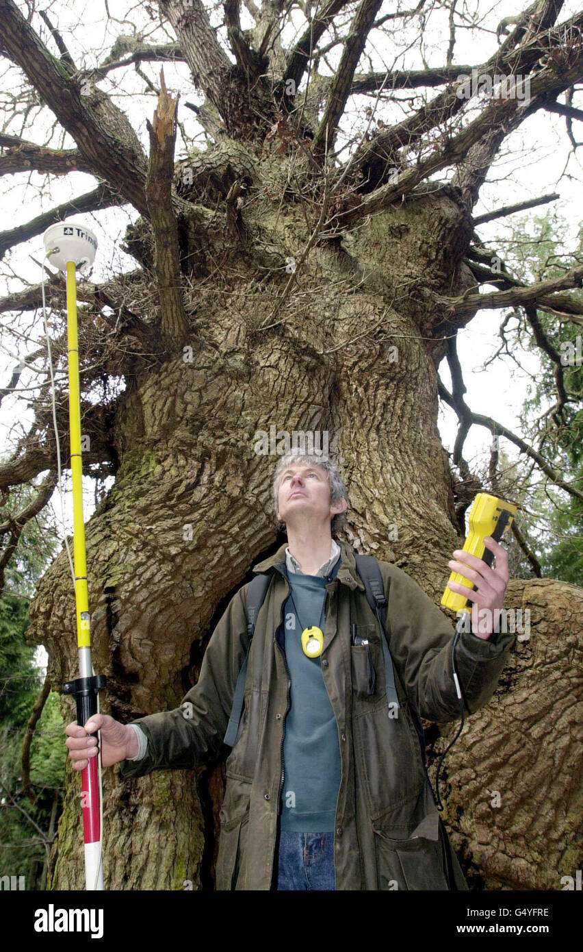 Alte Eichen treffen auf moderne Technologie, da US-Militärsatelliten, die zur Zielscheibe von Cruise-Raketen verwendet wurden, helfen, Bäume über 500 Jahre alt in einem Wald in Yorkshire zu lokalisieren. John Smith zeichnet die Position dieser 500 Jahre alten Eiche in der Nähe von Helmsley aus. * .. Eine mobile Antenne und einen Computer tragen, um ihre Position mithilfe des Global Positioning Systems zu fixieren. Dadurch werden Fehler in vorhandenen Karten beseitigt und alte Eichen, die im Inneren des Waldes verloren gegangen sind, können lokalisiert werden. Stockfoto