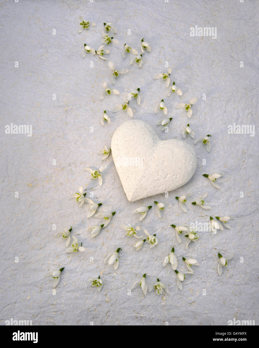 Weiße Stein geschnitzt Herz und Schneeglöckchen Blüten auf Seidenpapier. Stockfoto
