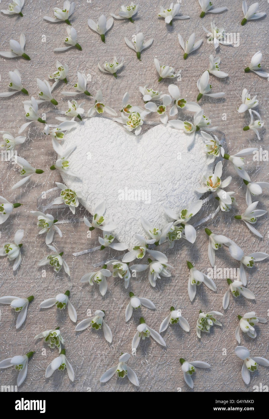 Weisses Herz Stockfotos Und Bilder Kaufen Alamy
