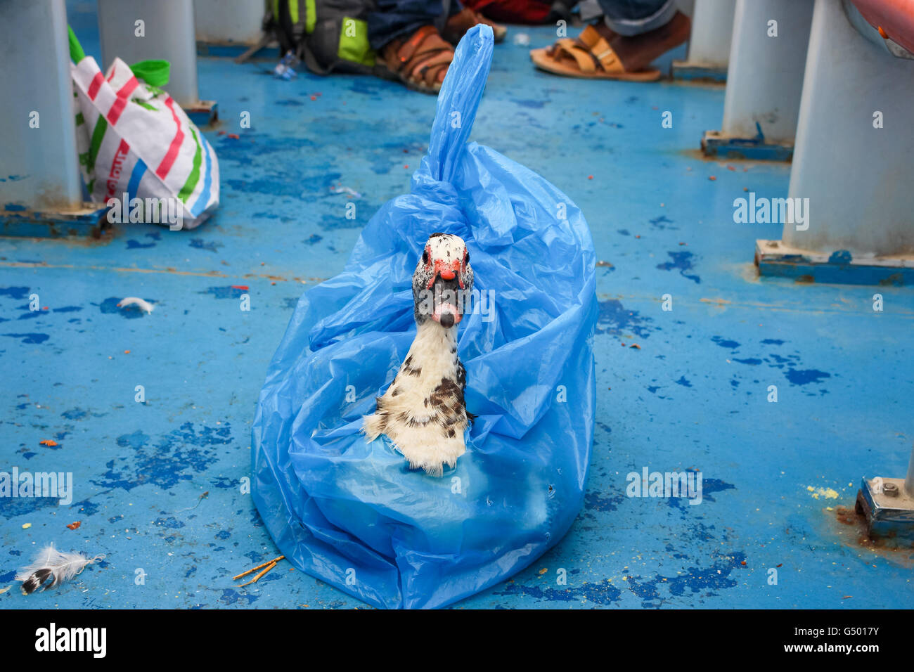 Kreuzung Pemba Sansibar Stockfotos und -bilder Kaufen - Alamy
