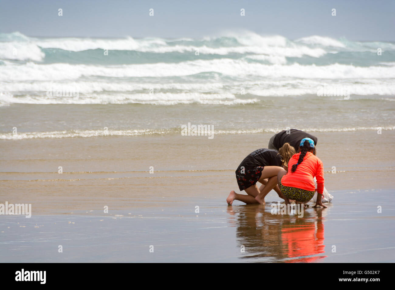 Neuseeland, Northland, Baylys Beach Strand Discovery - Menschen auf der Suche nach dem Strand Stockfoto