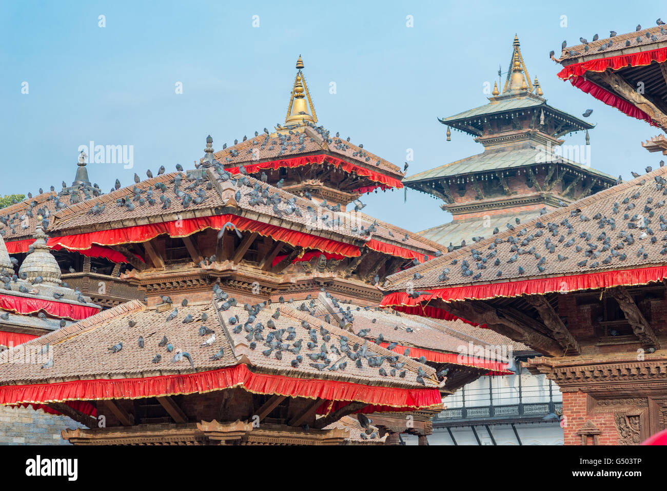 Nepal, Zentralregion, Kathmandu, Tauben auf den Dächern von Jagannath Bügel am Durbar Square in Kathmandu Stockfoto