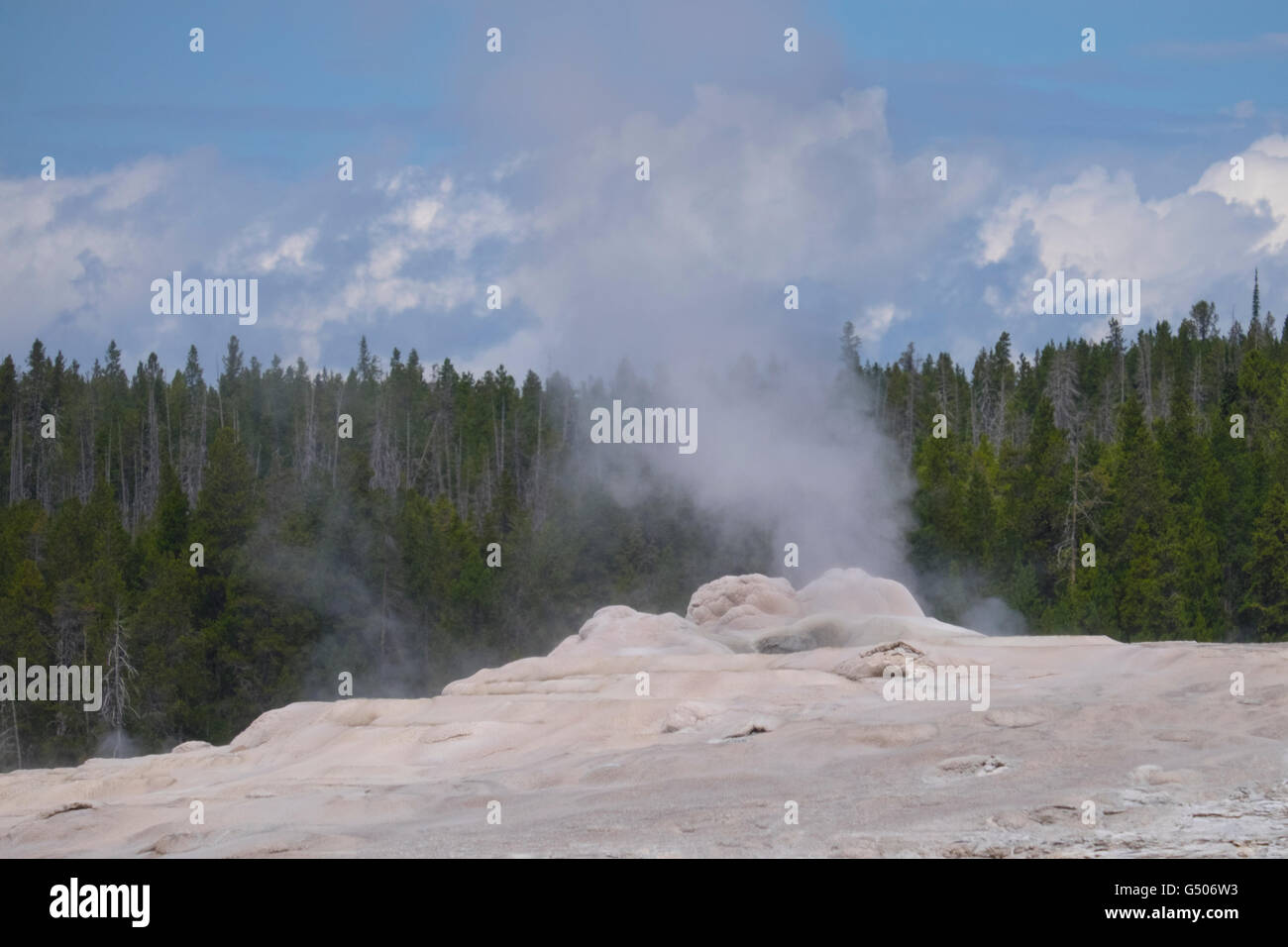 Dampfende Geysir im Yellowstone-Nationalpark, Wyoming, USA Stockfoto