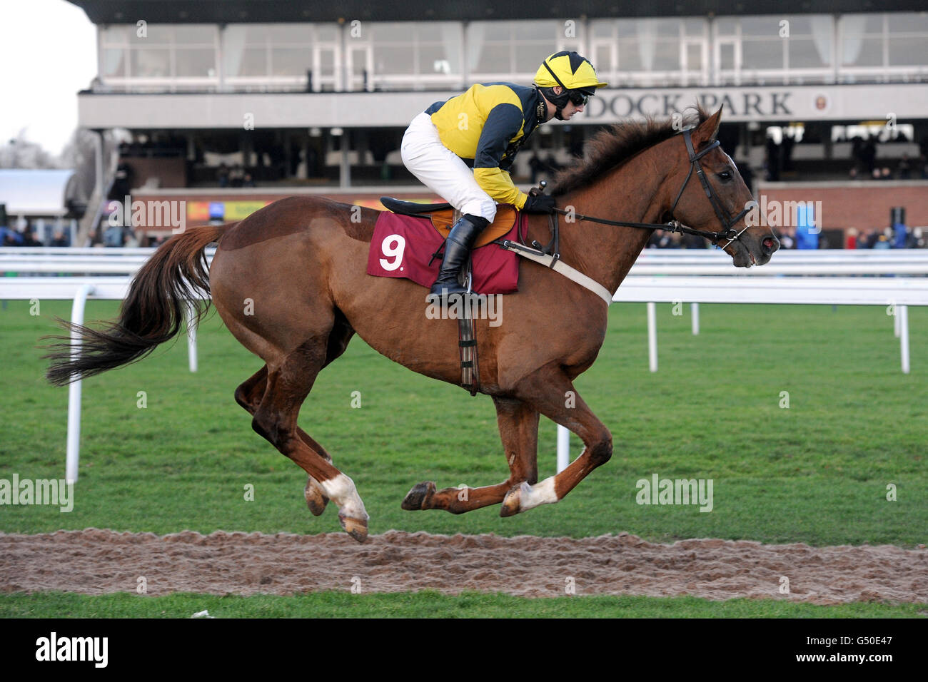 Pferderennen Sie - Peter Marsh Chase Tag - Haydock Park Stockfoto