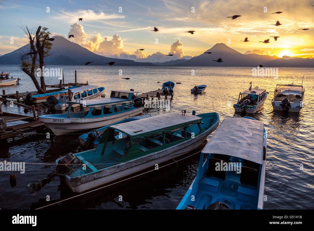 Vögel fliegen von festgemachten Wassertaxis an den Docks in Panajachel, den Sonnenuntergang über der Vulkane des Lago de Atitlan in Guatemala Stockfoto