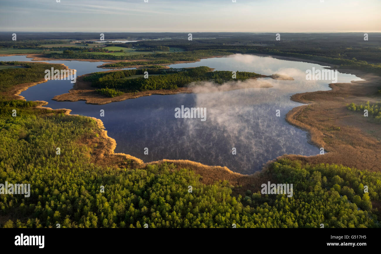 Luftaufnahme, Red Lake mit Nebel, morgen Stimmung, Sonnenaufgang, Roggentin, Mecklenburgische Seenplatte, Mecklenburger Seenplatte, Stockfoto