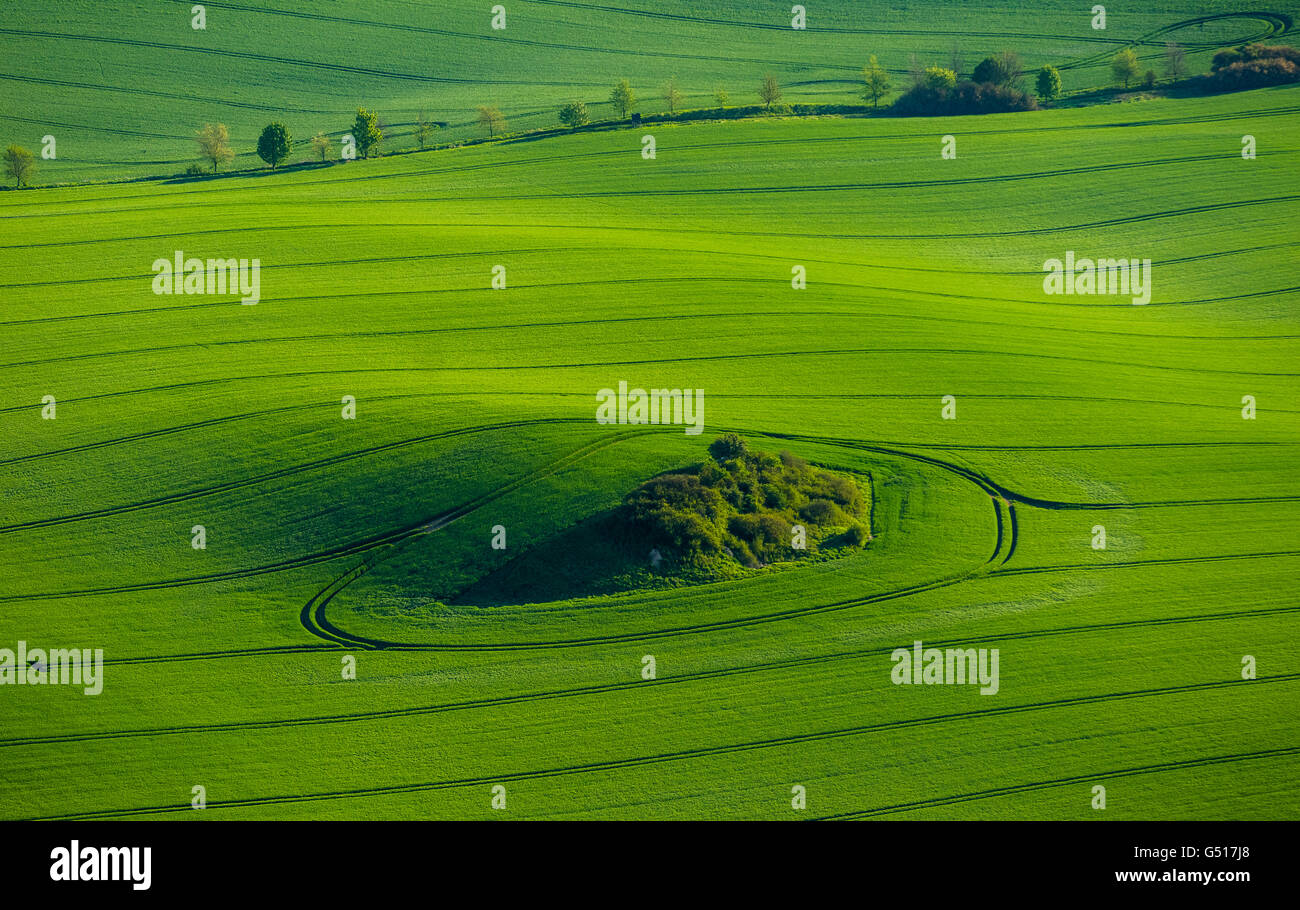 Luftbild, Frühling Aussaat, grüne Feld in der Moränenlandschaft mit stern Insel in der Mitte, Groß Roge, Mecklenburg See Stockfoto