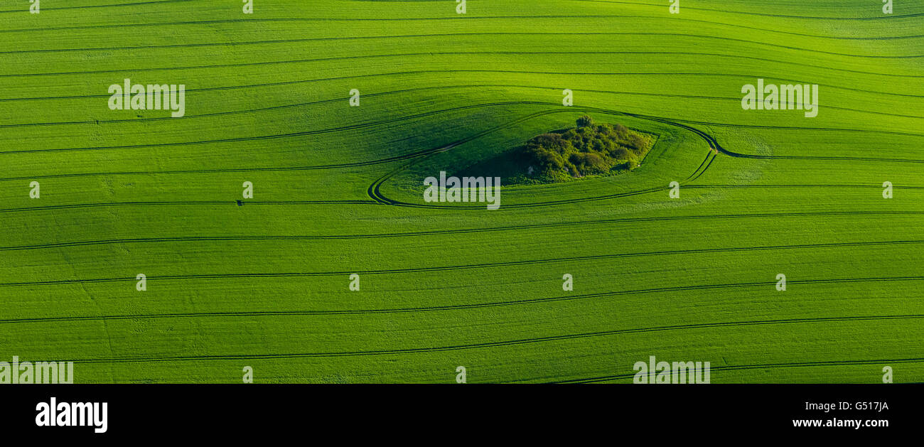 Luftbild, Frühling Aussaat, grüne Feld in der Moränenlandschaft mit stern Insel in der Mitte, Groß Roge, Mecklenburg See Stockfoto