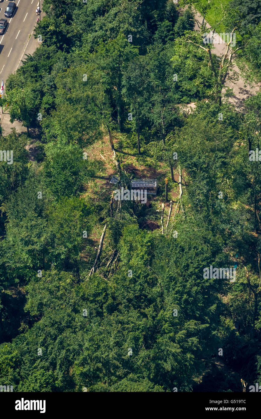 Luftbild, Sturmschäden aus der 9. Juni 2014 und die Folgen der Sturmschäden zwischen Hofgarten Landskrone und Tonhalle, Stockfoto