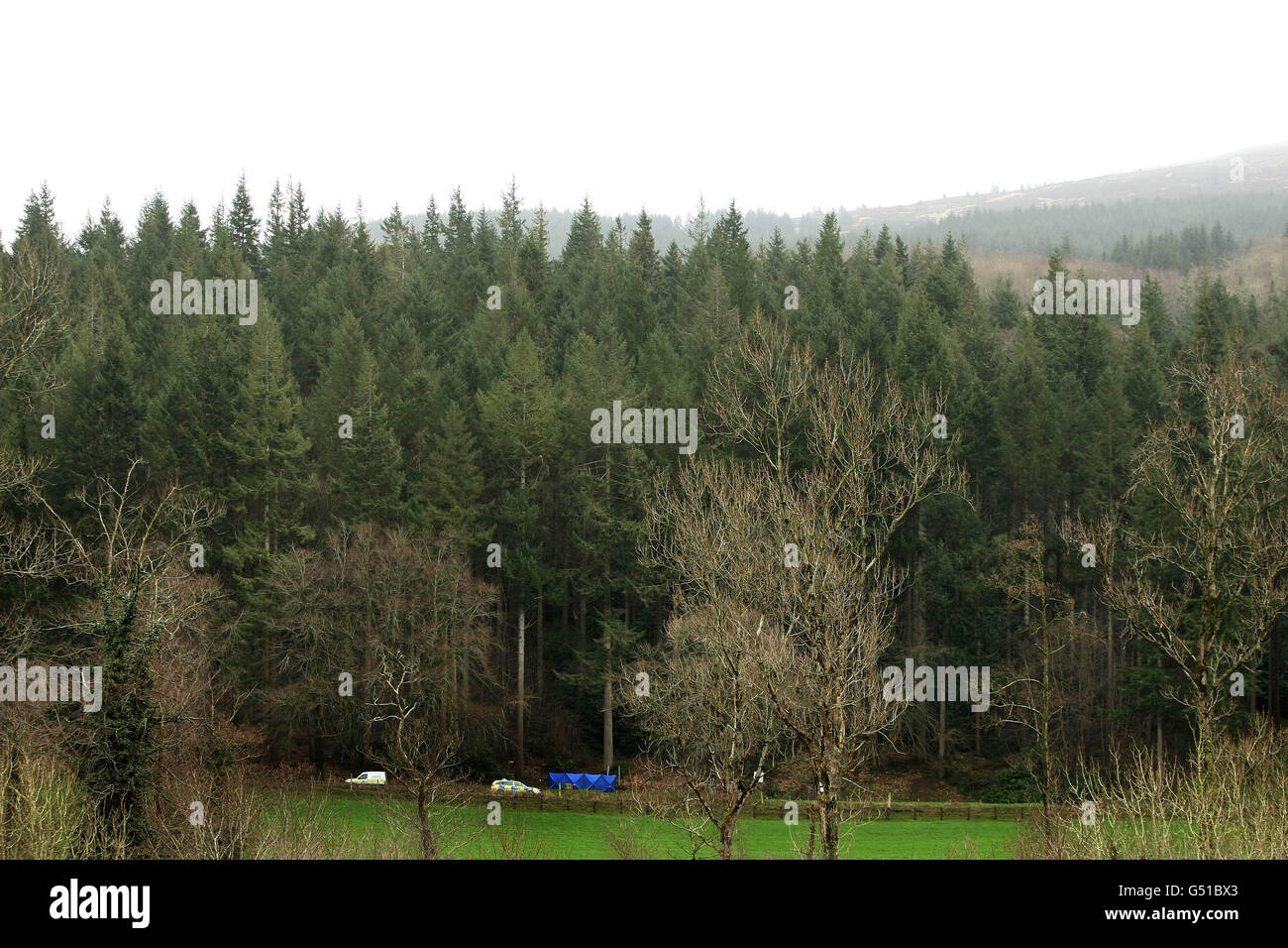 Gardai an der Stelle, wo zwei Leichen in einem ausgebrannten Auto im Ravensdale Park in der Nähe von Dundalk gefunden wurden. Stockfoto