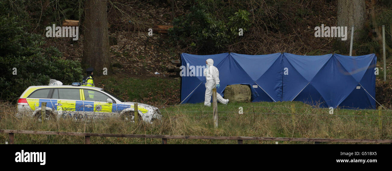 Gardai an der Stelle, wo zwei Leichen in einem ausgebrannten Auto im Ravensdale Park in der Nähe von Dundalk gefunden wurden. Stockfoto